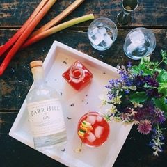 Rhubarb Compote/Rhubarb Syrup by Jennifer Balin
