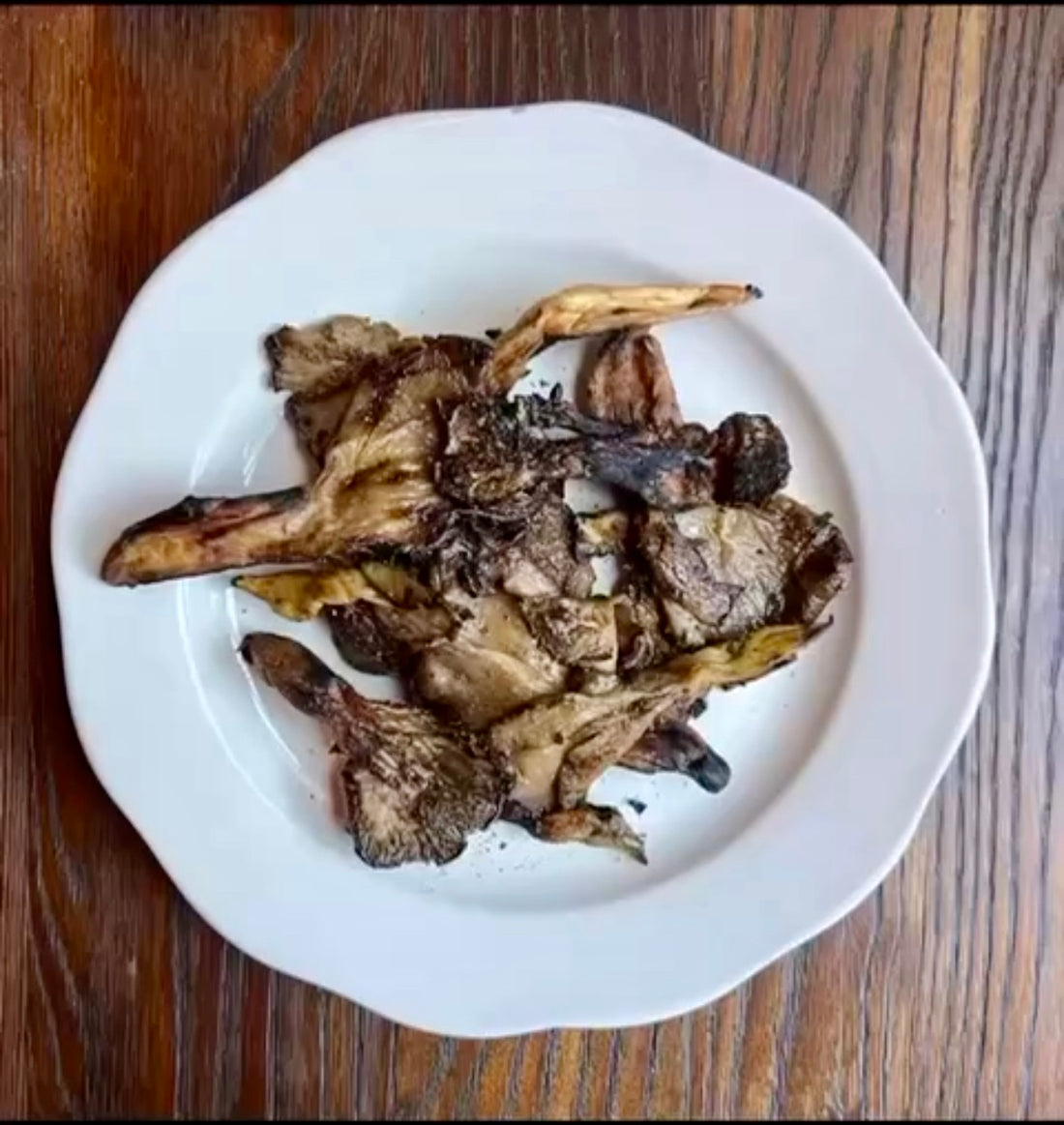 Grilled Blue Oyster Mushrooms, by Emily Mingrone of Tavern on State, Provisions on State, and Fair Haven Oyster Company